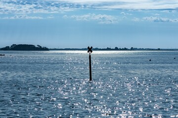 Sticker - Brittany, panorama of the Morbihan gulf, the Ile aux Moines