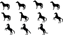 Image Sequence Of Horse For Animation.