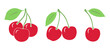 Vector Set of berries, a cherry, couple of cheries, a bunch - colorful icons on white background  images.