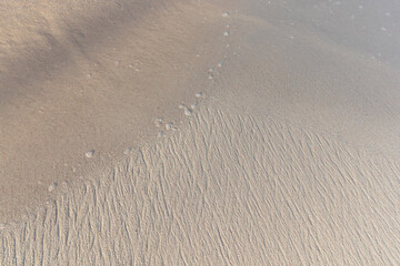 sand ripples on the beach