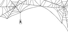 Linear Sketch Of A Web With A Spider. Vector Graphics.