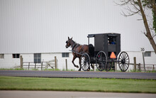 Amish Horse And Buggy On The Road In Front Of A Large White Barn | Holmes County, Ohio