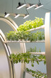 automatic experimental garden lighting plants future agriculture