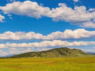 Sunny view of the rural landscape