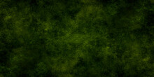 Abstract Background With Green Grass. Wall Décor. Texture Background. Color Moss Texture. Tree Bark Background. Grunge Texture Background. Dirty Pattern For Graphic Design. Paper Texture Design .