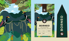 Tropical Rainforest With Hornbill Bird Illustration Suitable For Coffee Packaging Design