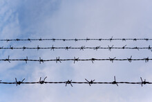 Barbed Wire Fence On The Sky