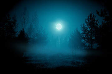spooky night foggy forest under the night sky with a full moon in cold blue tones. halloween backdro