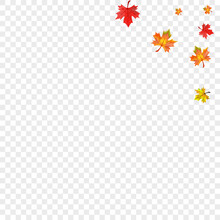 Brown Leaf Background Transparent Vector. Foliage October Illustration. Yellow September Leaves. Flying Plant Design.