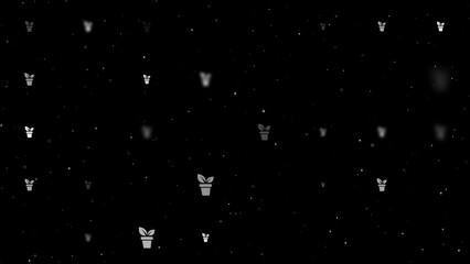 Poster - Template animation of evenly spaced plant in pot symbols of different sizes and opacity. Animation of transparency and size. Seamless looped 4k animation on black background with stars