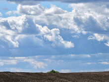 Cumulus Clouds And Field. Horizon And Sky With Field