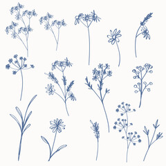 Poster - Set of vector rustic hand drawn simple plants for design