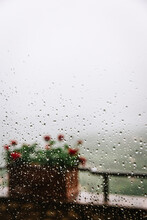 Raindrops On The Glass, The Cloudy Sky Outside The Window, Fog, And Flowerpots With Red Geraniums.