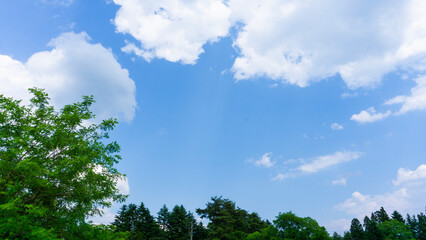 Wall Mural - 青空と雲