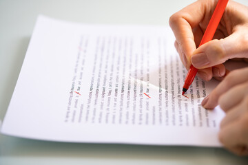 Poster - Script Proofread And Sentence Grammar Spell Check