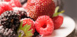 Raspberries, strawberries and blackberries sprinkled with sugar, close-up.