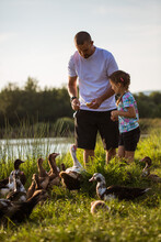 Father With Daughter Feeding Ducks Near Lake. Family Concept