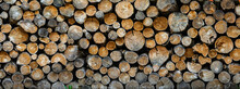 Wide Oak Firewood Background. Panoramic Image. High Resolution.