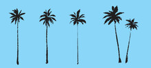 Palm Tree Silhouette. Textured Ink Brush Hand Drawn Vector