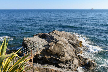 Wall Mural - Seascape with a small bridge on the rocky cliff and an agave plant in the foreground, Genoa, Liguria, Italy