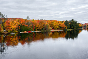 Wall Mural - Wodeen jetties with adirondack chair on them along the forested shores of a lake on a cloudy autumn day. Stunning autumn colours and reflection in water.