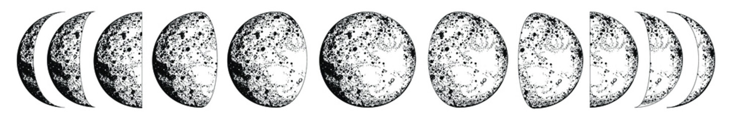 full moon. lunar phases. celestial vector illustrations on white background. tatoo. astrology, alche