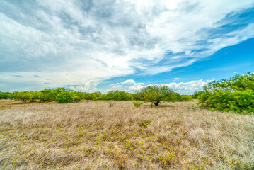 Poster - rural texas land