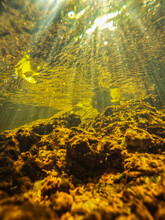 Sunbeams Underwater