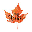 Beautiful calligraphy lettering text - Hallo Herbst - German translation - Hello Autumn Fall. Bright orange red watercolor artistic maple leaf vector illustration isolated on white background