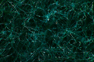 Wall Mural - abstract green macro background of a molecule