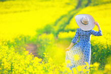 Spring Nature Young Girl In A Field Of Flowers, Freedom And Happiness Of A Lady In A Sunny Landscape