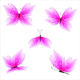 Fototapeta Motyle - butterflies on a white backgrond