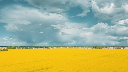 Wall Mural - Sky With Rain Clouds On Horizon Above Rural Landscape Canola Colza Rapeseed Field. Small Village Spring Field. Time Lapse, Timelapse, Time-lapse. dronelapse, drone lapse, drone Hyper lapse 4K.