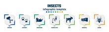 Insects Concept Infographic Design Template. Included Trimming, Pawprint, Rhinoceros, Teasing Stick, Goat, Crocodile, Bedbug Icons And 7 Option Or Steps.