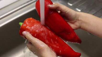 Wall Mural - kid washing red peppers in kitchen sink