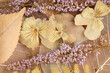 Kompozycja suszonych kwiatów i liści w odcieniach brązu