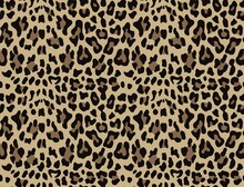 Seamless Vector Leopard Pattern Trendy Stylish Animal Print. Disguise