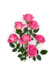 Wall Mural - Pink flowers roses on a white background with space for text. Top view, flat lay