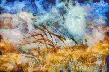 Wall Mural - Field of wheat, full moon in the sky