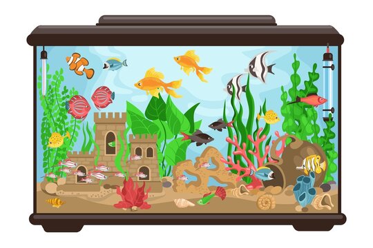 Aquarium with fish. Cartoon fishbowl. Underwater decorative goldfish habitat. Multicolor creations different breeds. Marine animal and aquatic castle. Splendid vector glass container