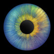 © Alex Puhovoy - Iris of the eye. Human iris. Eye illustration.
