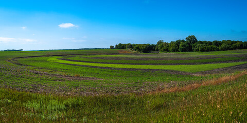 Wall Mural - Tranquil prairie landscape with curving field sections near Red River in North Dakota