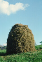Old Hay Stack In North Carolina