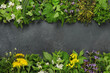 Edible plants and flowers on a dark background.