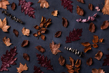 Autumn Fall Thanksgiving Day Composition With Decorative Dried Leaves
