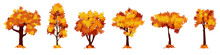 Set Of Cartoon Autumn Tree Isolated On A White Background. Vector Element For Fall Landscape, Autumn Cards, Kids Books.