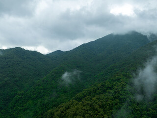  Aerial view of beautiful forest mountain landscape