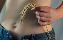 Woman Hand Holding Stalk Of Wheat In Front Of Stomach