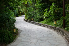 Path In The Park