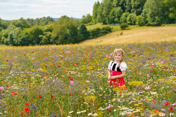 Little preschool girl in wildflower field. Cute happy child in red riding hood dress play outdoor on blossom flowering meadow. Leisure activity in nature with children.